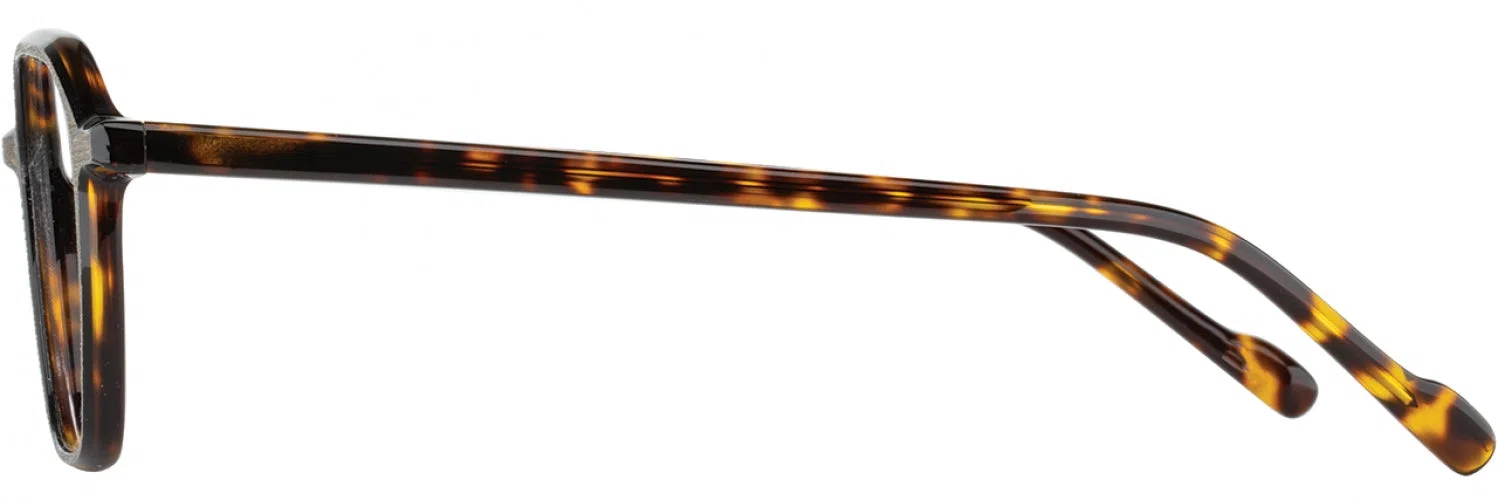 Scott Harris SH916 Eyeglasses - view 5